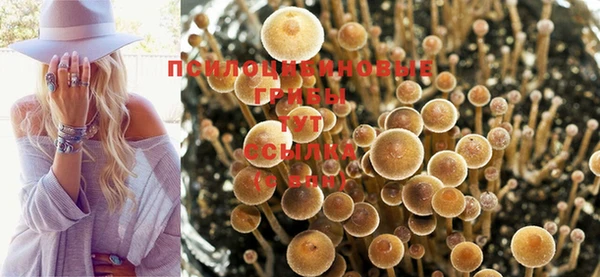 не бодяженный Балахна